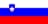 Slovenian flag